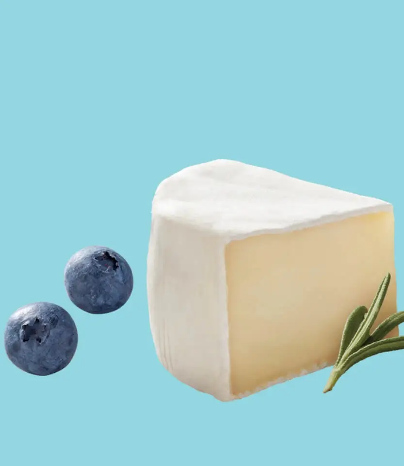 Block of creamy cheese with white coating next to two blueberries and fresh rosemary sprig on light blue background.