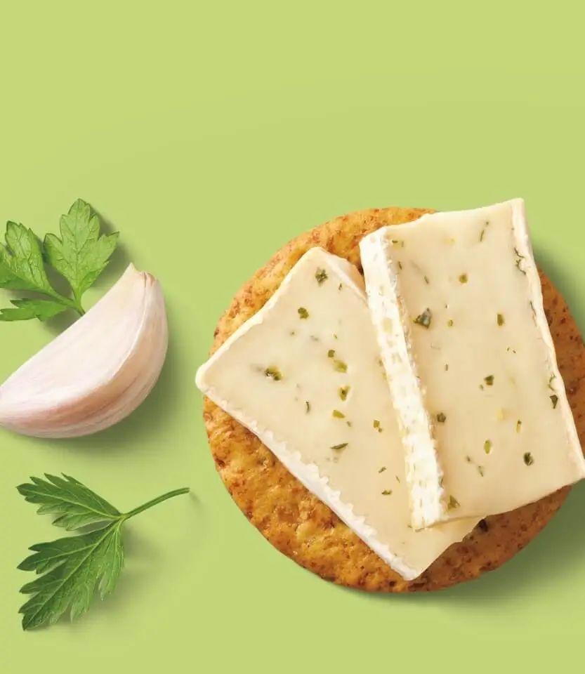 Herb-infused cheese slices on a whole grain cracker with fresh mint and parsley sprigs on a green background.